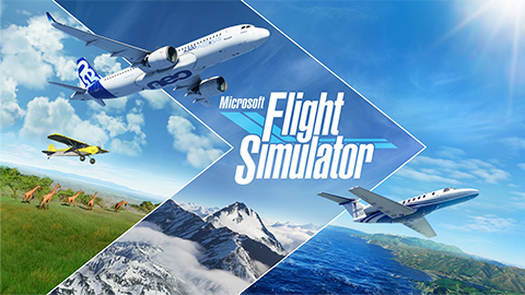 Microsoft Flight Simulator (Xbox Series X|S)